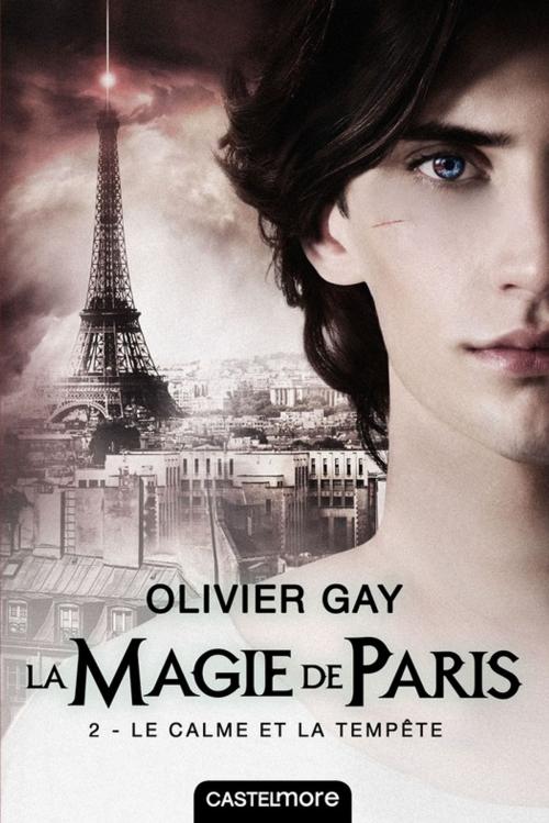 Cover of the book Le Calme et la Tempête by Olivier Gay, Castelmore