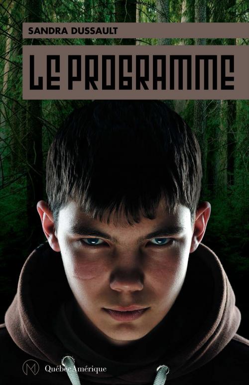 Cover of the book Le Programme by Sandra Dussault, Québec Amérique