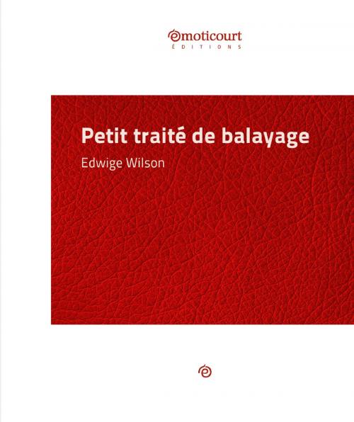 Cover of the book Petit traité de balayage by Edwige Wilson, Emoticourt