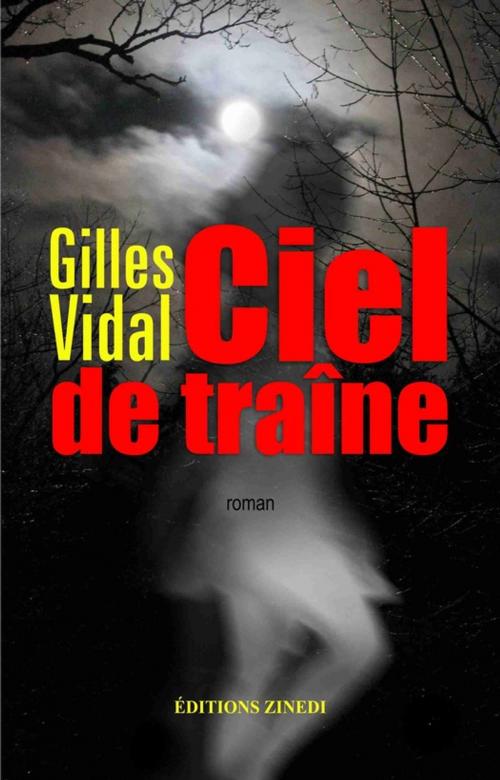Cover of the book Ciel de traîne by Gilles Vidal, Zinedi