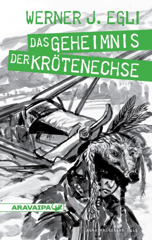 Cover of the book Das Geheimnis der Krötenchse by Werner J. Egli, ARAVAIPA