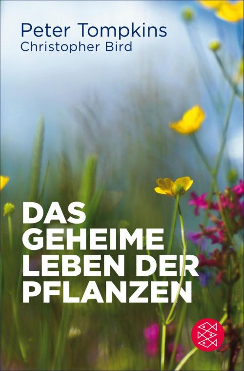 Cover of the book Das geheime Leben der Pflanzen by Christopher Bird, Peter Tompkins, FISCHER E-Books
