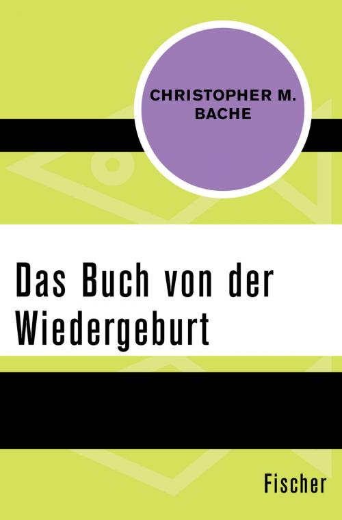 Cover of the book Das Buch von der Wiedergeburt by Christopher M. Bache, FISCHER Digital