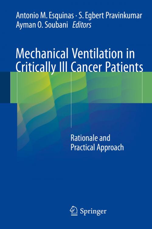 Cover of the book Mechanical Ventilation in Critically Ill Cancer Patients by , Springer International Publishing