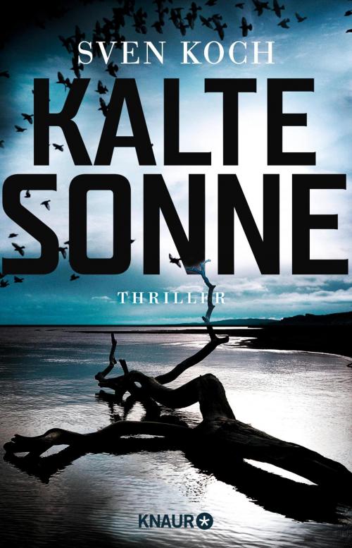 Cover of the book Kalte Sonne by Sven Koch, Knaur eBook