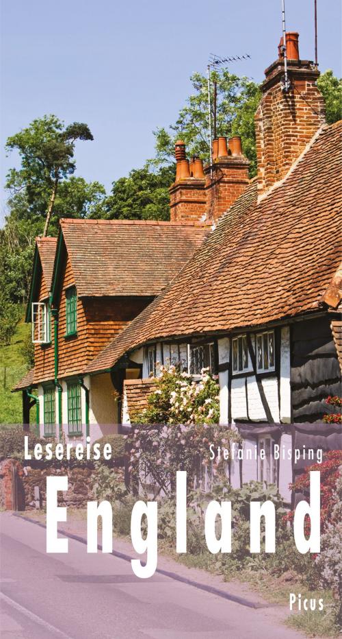 Cover of the book Lesereise England by Stefanie Bisping, Picus Verlag