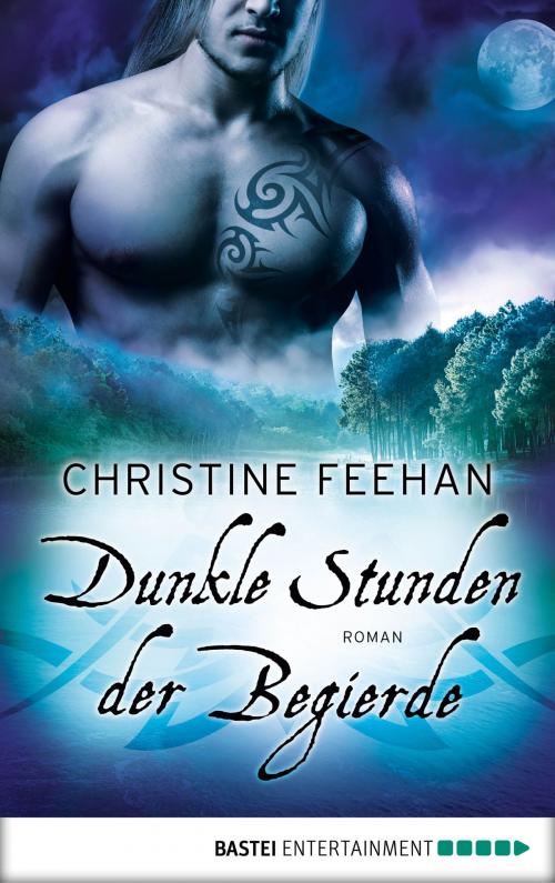 Cover of the book Dunkle Stunden der Begierde by Christine Feehan, Bastei Entertainment