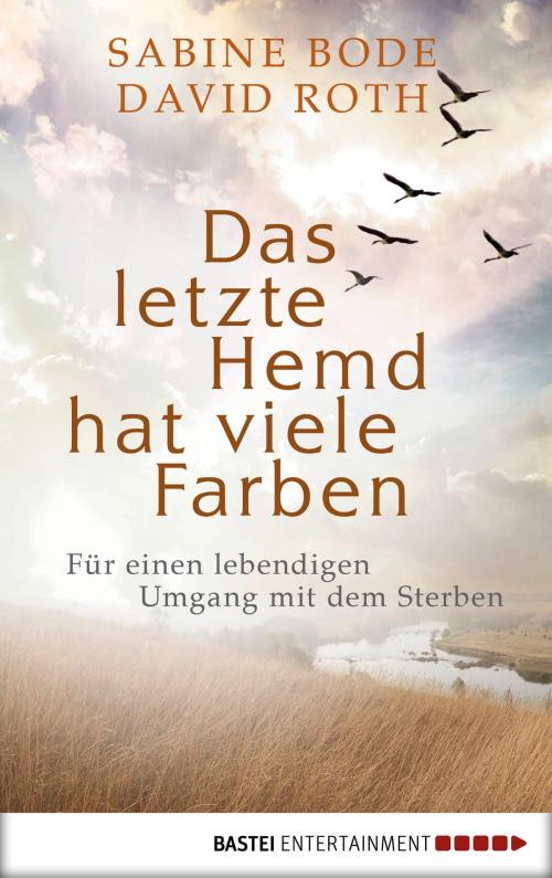 Cover of the book Das letzte Hemd hat viele Farben by Sabine Bode, David Roth, Bastei Entertainment