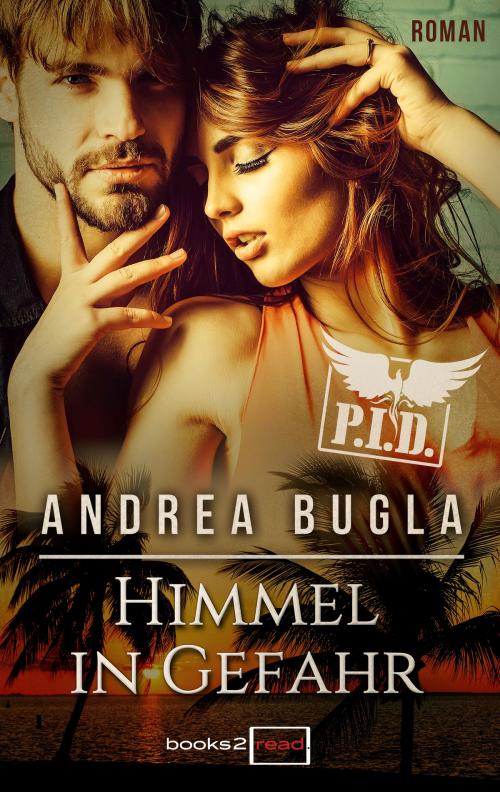 Cover of the book P.I.D. 5 - Himmel in Gefahr by Andrea Bugla, books2read