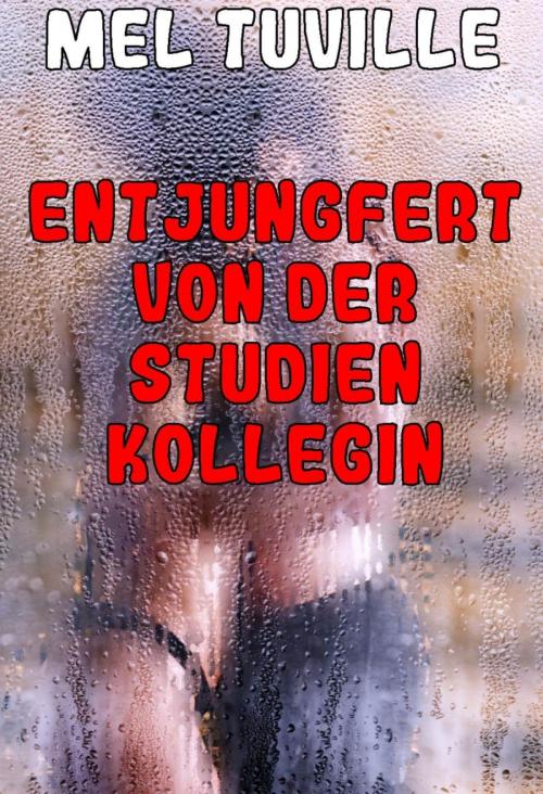 Cover of the book Entjungfert von der Studienkollegin by Mel Tuville, BookRix