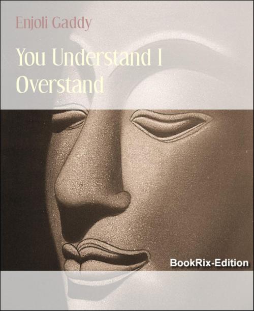 Cover of the book You Understand I Overstand by Enjoli Gaddy, BookRix
