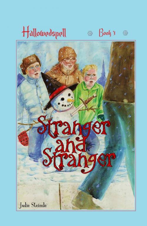 Cover of the book Stranger and Stranger by Julie Steimle, BookRix