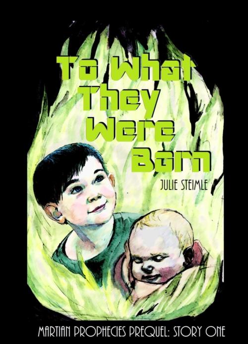 Cover of the book To What They Were Born by Julie Steimle, BookRix