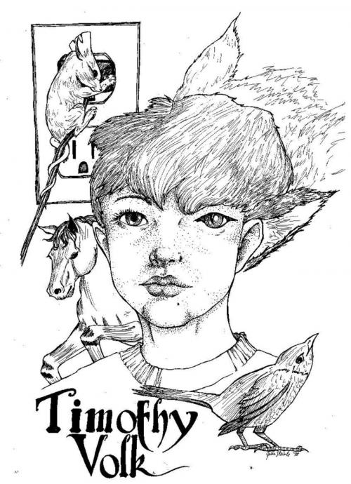 Cover of the book Timothy Volk by Julie Steimle, BookRix