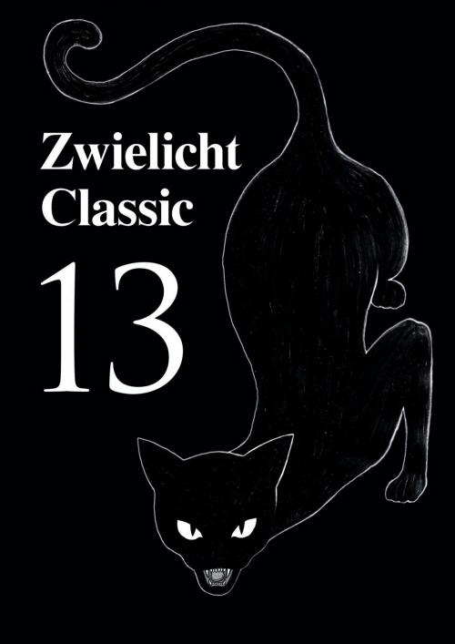 Cover of the book Zwielicht Classic 13 by Michael Schmidt, epubli