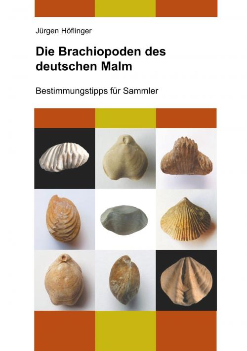Cover of the book Die Brachiopoden des deutschen Malm by Jürgen Höflinger, Books on Demand