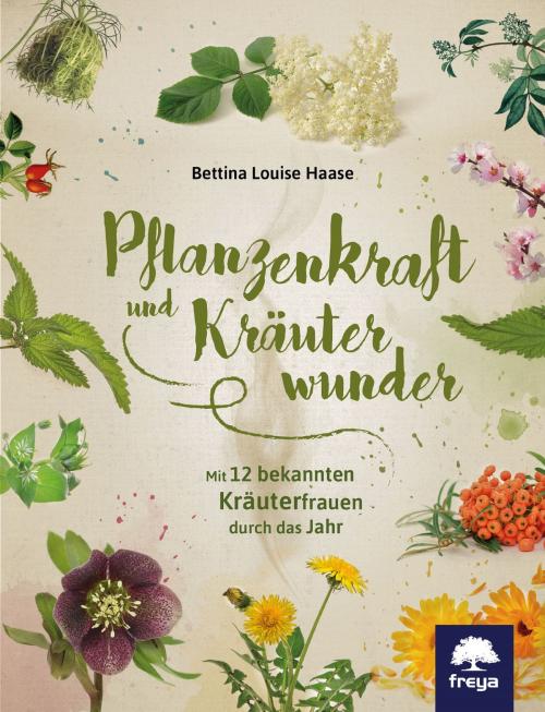Cover of the book Pflanzenkraft und Kräuterwunder by Bettina Louise Haase, Freya