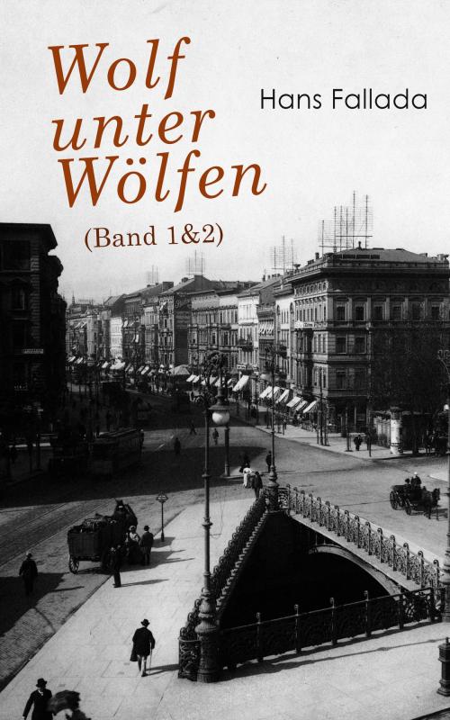 Cover of the book Wolf unter Wölfen (Band 1&2) by Hans Fallada, e-artnow