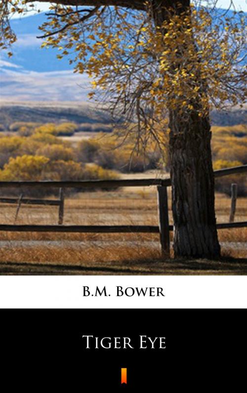 Cover of the book Tiger Eye by B.M. Bower, Ktoczyta.pl