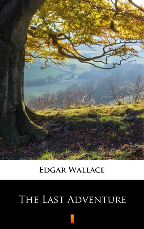 Cover of the book The Last Adventure by Edgar Wallace, Ktoczyta.pl