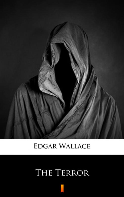 Cover of the book The Terror by Edgar Wallace, Ktoczyta.pl