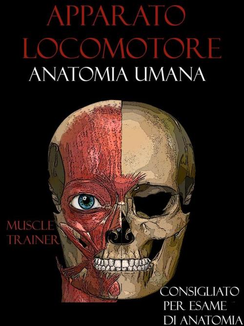 Cover of the book Apparato Locomotore - Anatomia Umana by Muscle Trainer, Muscle Trainer
