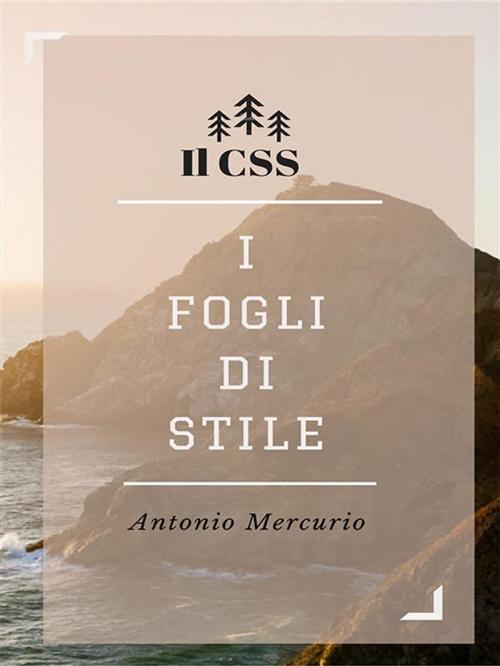Cover of the book I fondamentali del CSS con accenni al CSS3 by Antonio Mercurio, Youcanprint