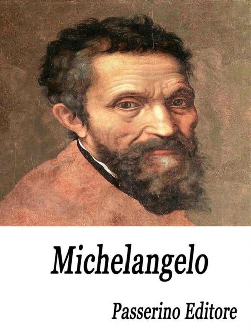 Cover of the book Michelangelo by Passerino Editore, Passerino