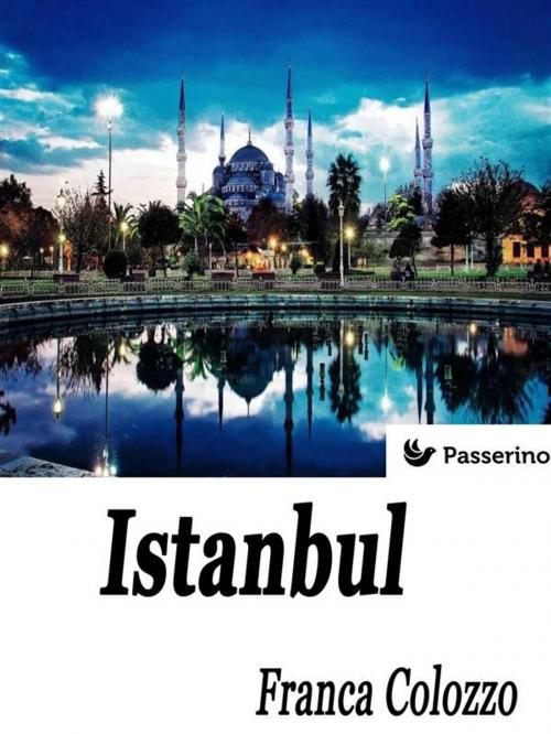 Cover of the book Istanbul by Franca Colozzo, Passerino