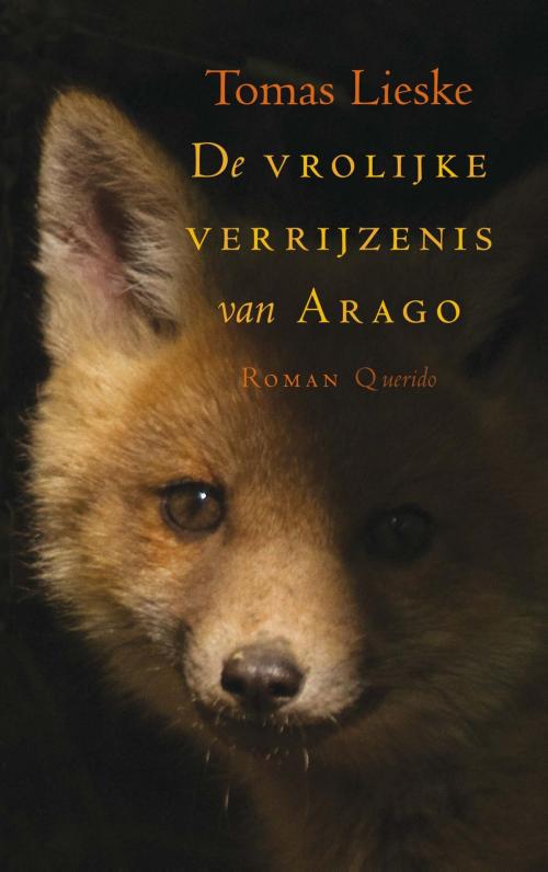 Cover of the book De vrolijke verrijzenis van Arago by Tomas Lieske, Singel Uitgeverijen