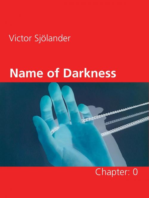 Cover of the book Name of Darkness by Victor Sjölander, Books on Demand