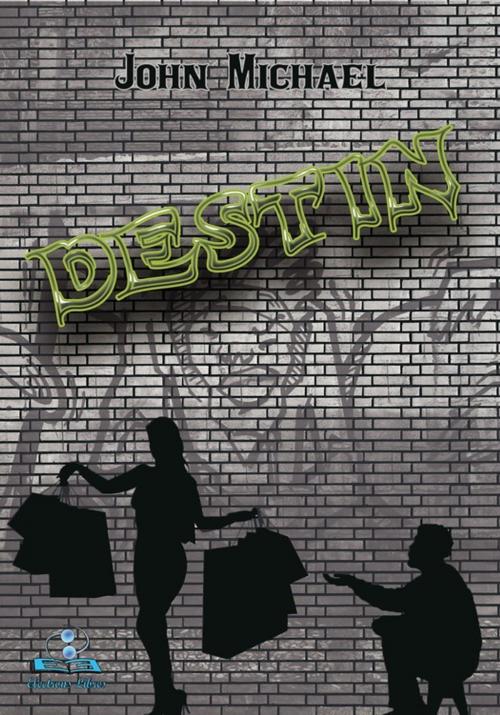 Cover of the book Destin by John Michael, Evidence Editions