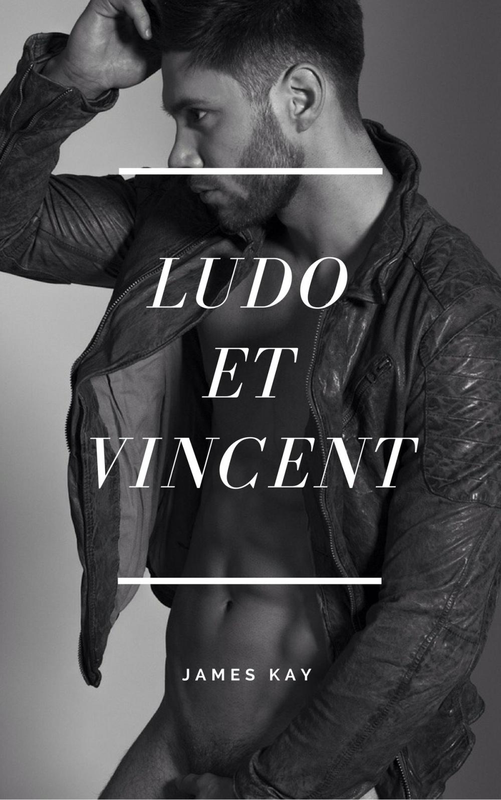 Big bigCover of Ludo et Vincent