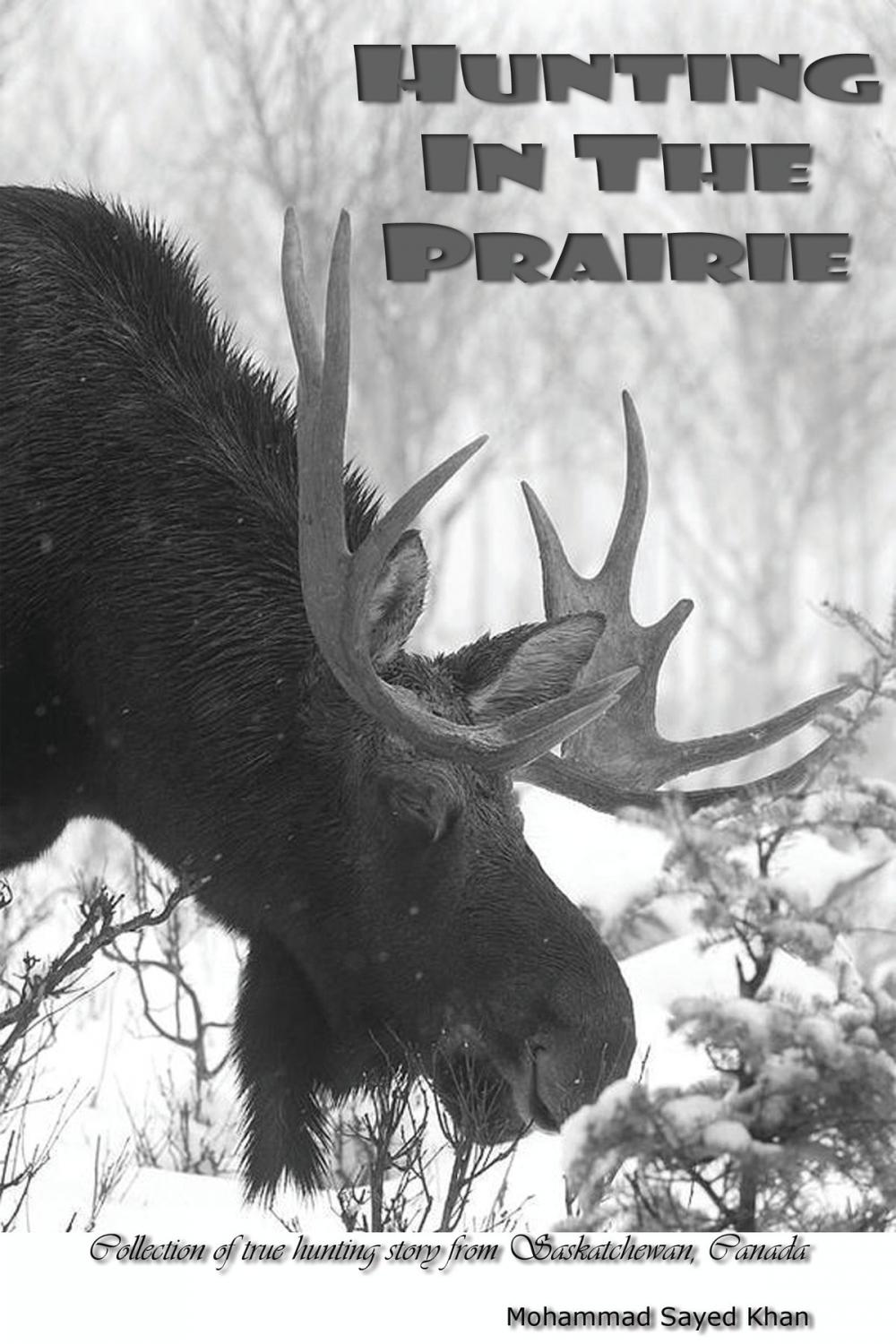 Big bigCover of Hunting in the Prairie