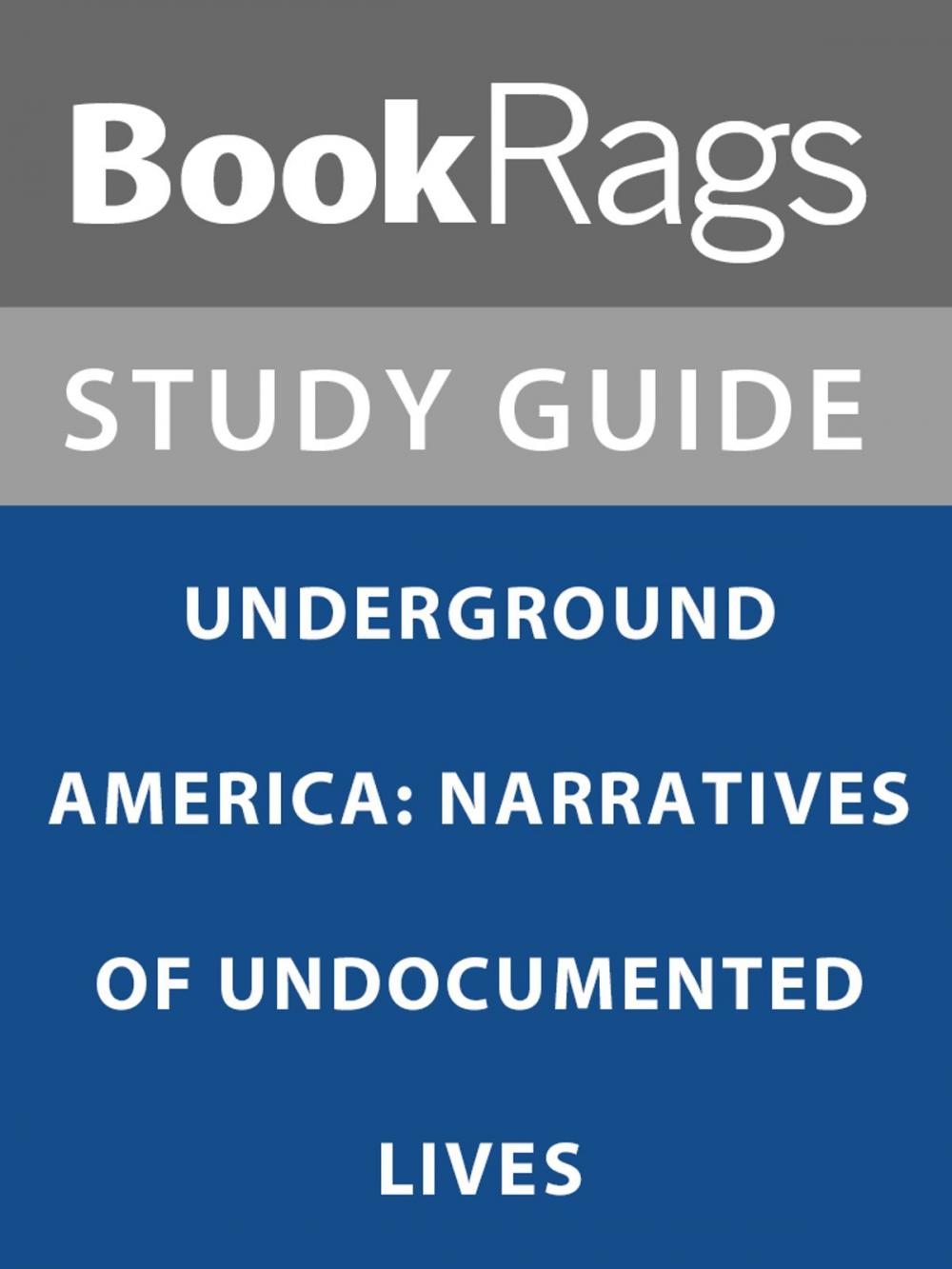 Big bigCover of Summary & Study Guide: Underground America: Narratives of Undocumented Lives