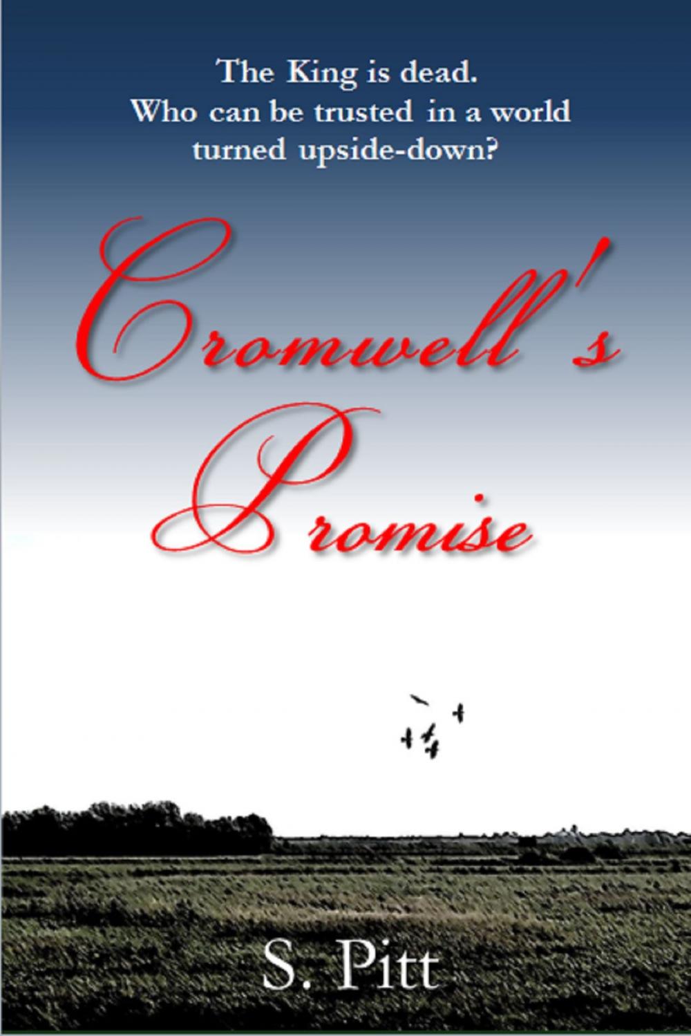 Big bigCover of Cromwell's Promise