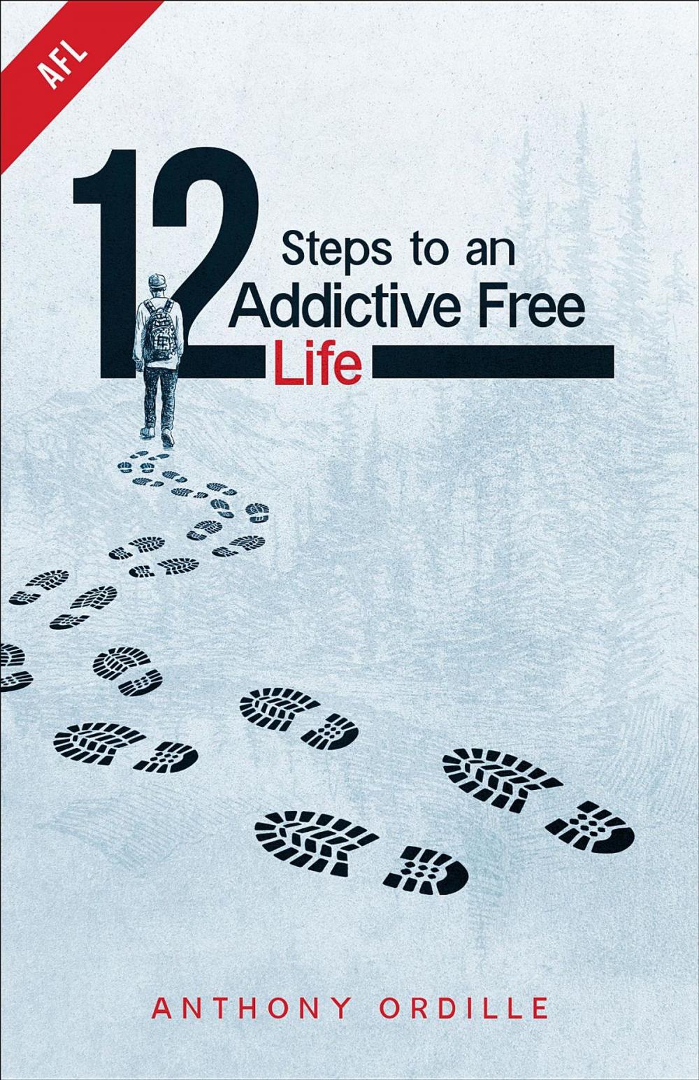Big bigCover of 12 Steps to an Addictive Free Life