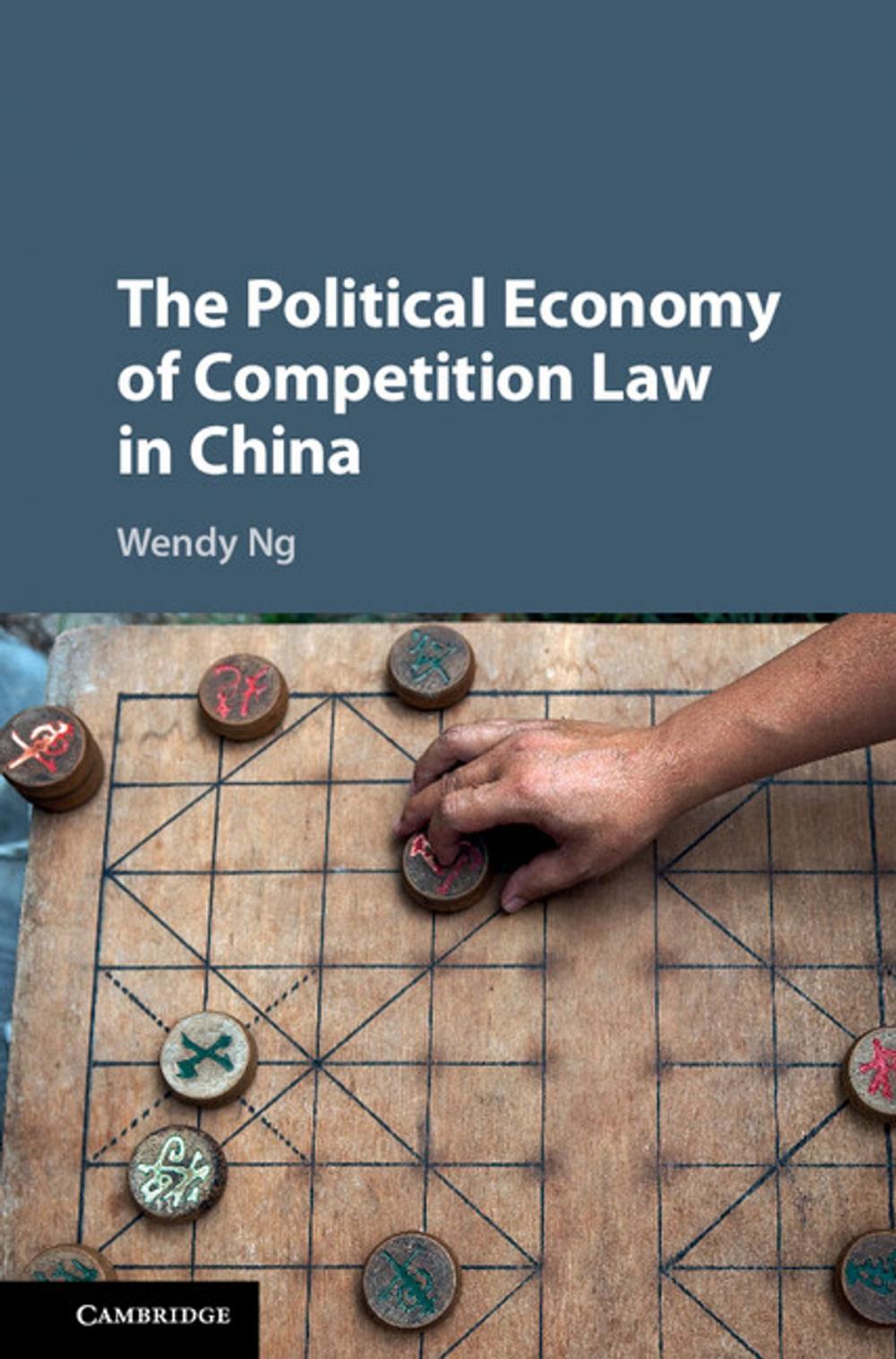 Big bigCover of The Political Economy of Competition Law in China