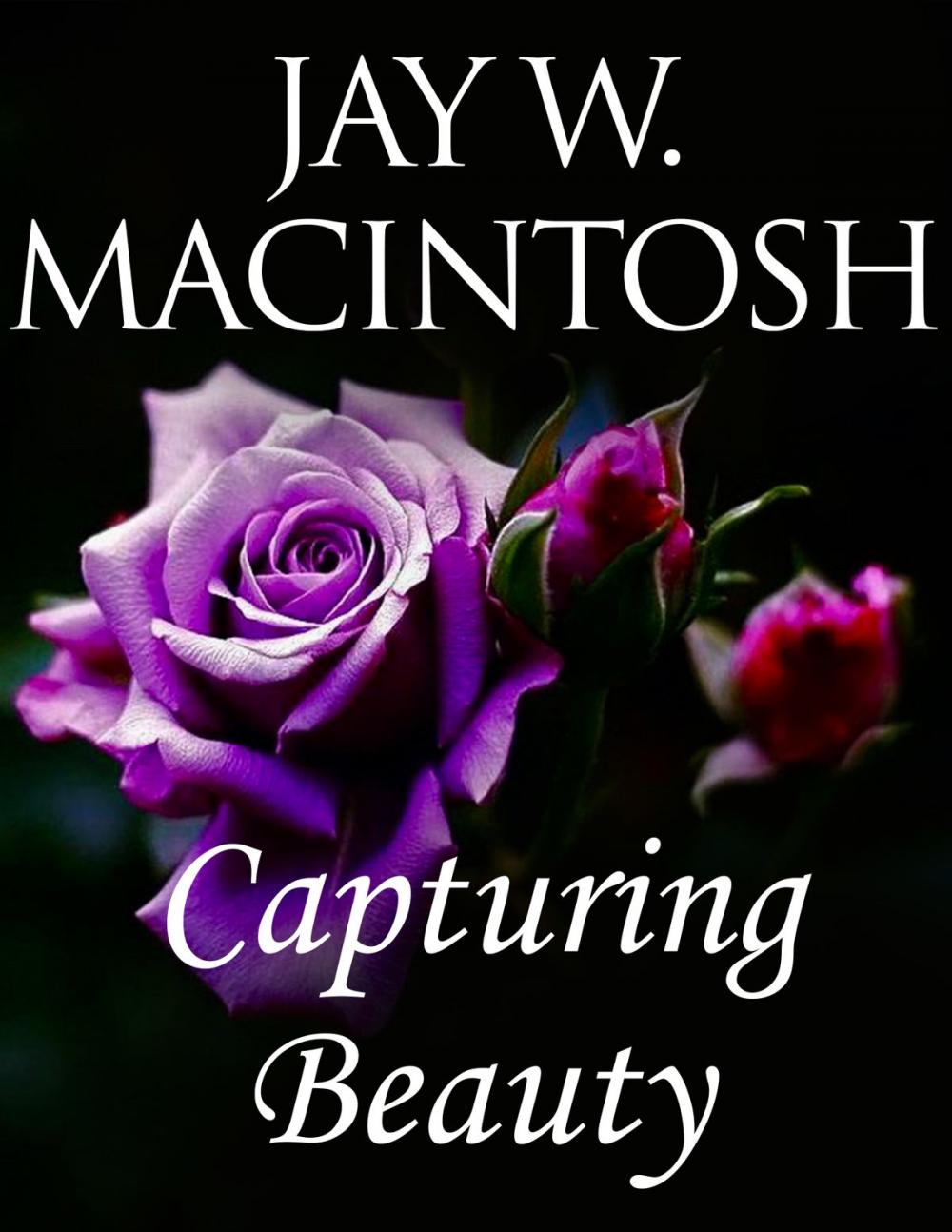 Big bigCover of Capturing Beauty