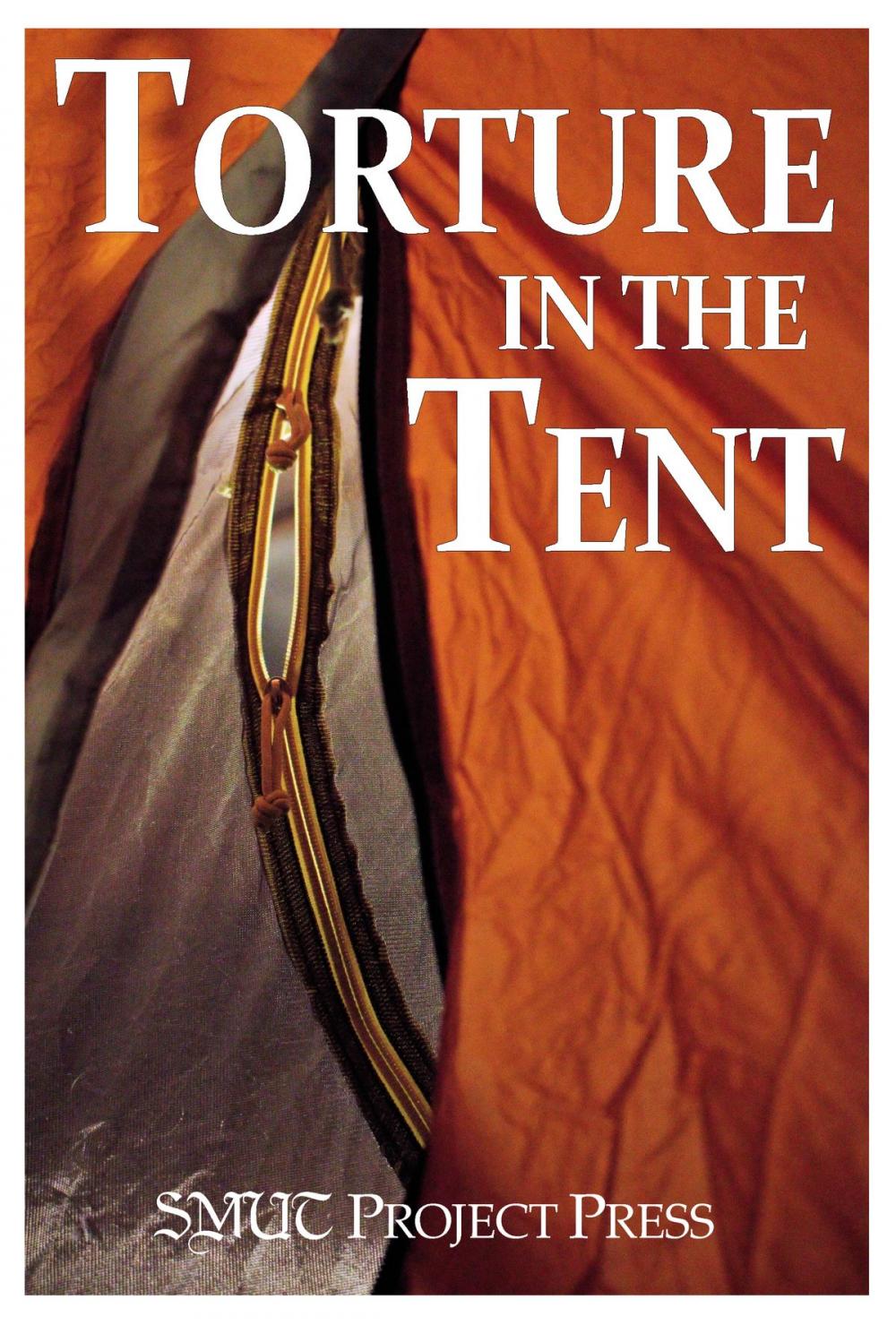 Big bigCover of Torture in the Tent