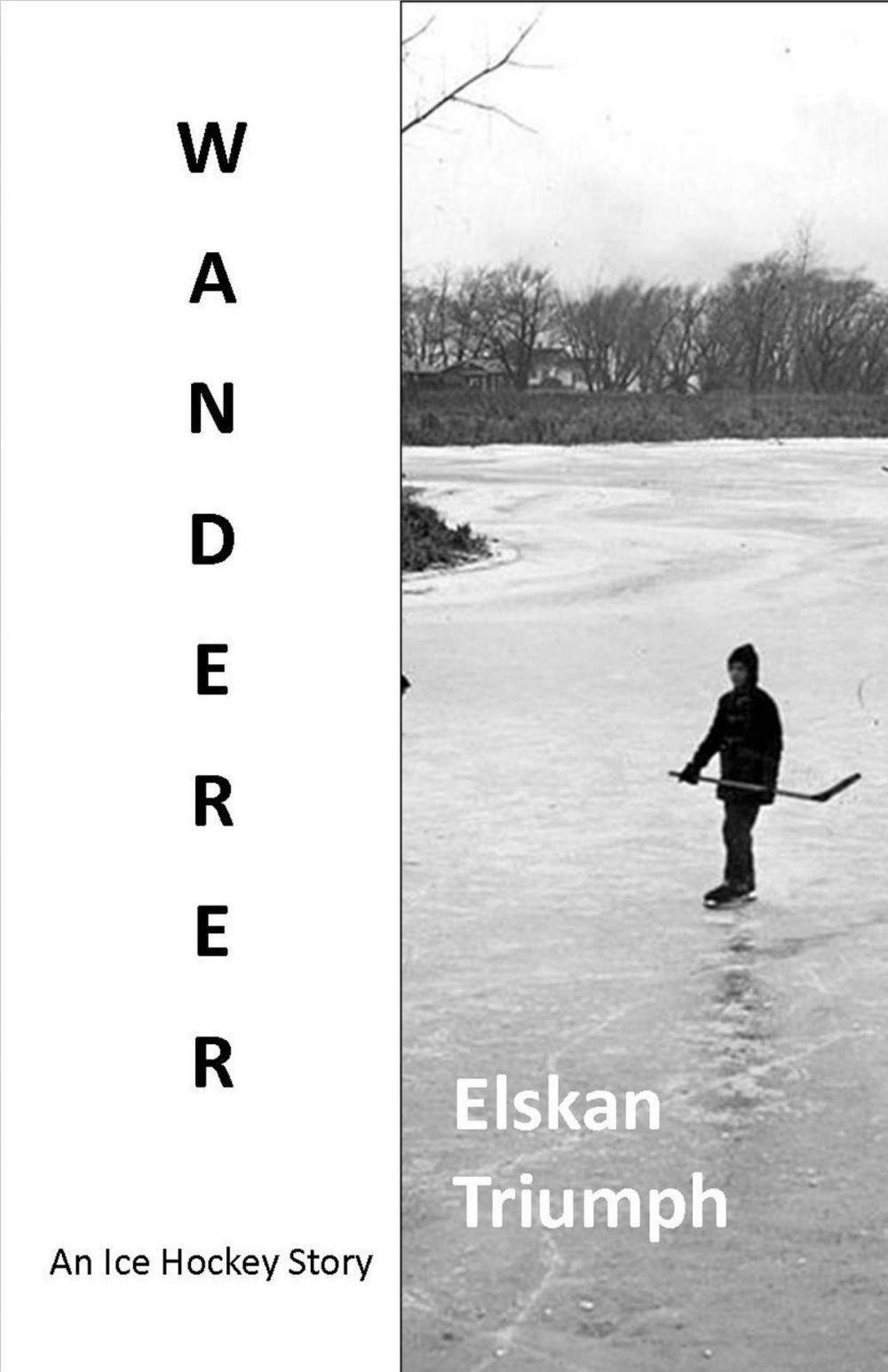 Big bigCover of Wanderer: An Ice Hockey Novel