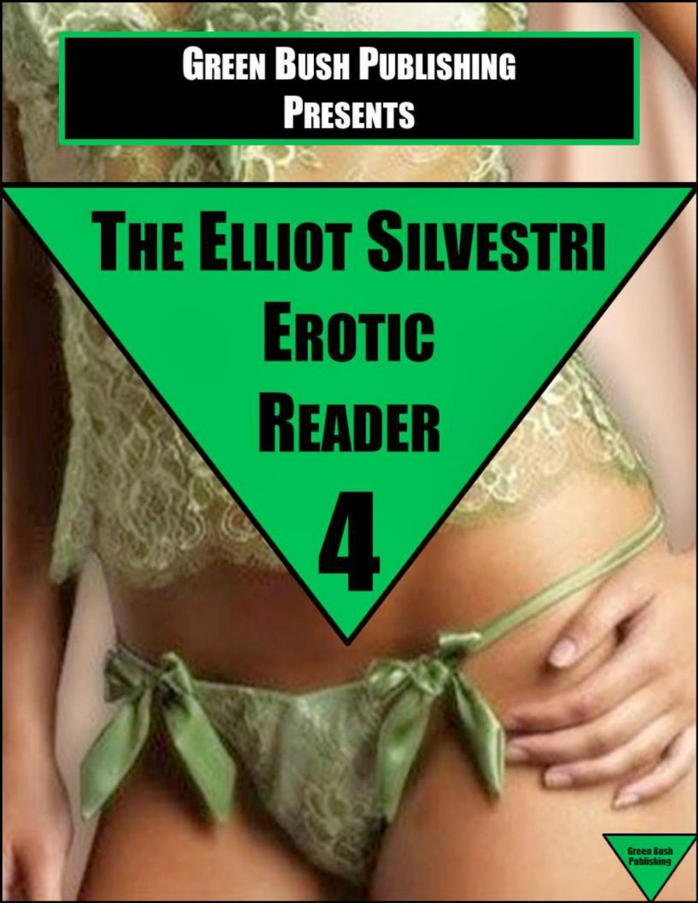 Big bigCover of The Elliot Silvestri Erotic Reader Volume 4