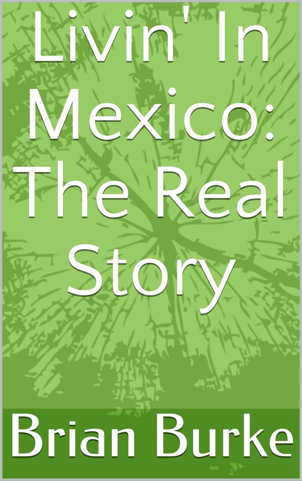 Big bigCover of Livin' In Mexico: The Real Story