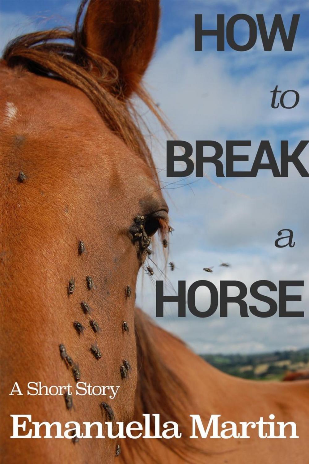 Big bigCover of How to Break a Horse