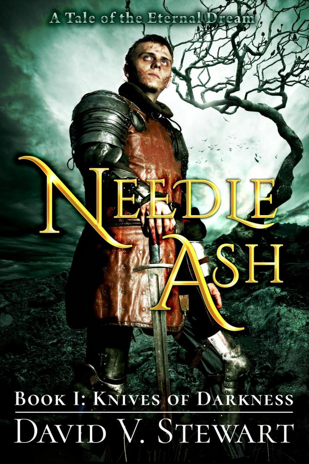 Big bigCover of Needle Ash Book 1: Knives of Darkness