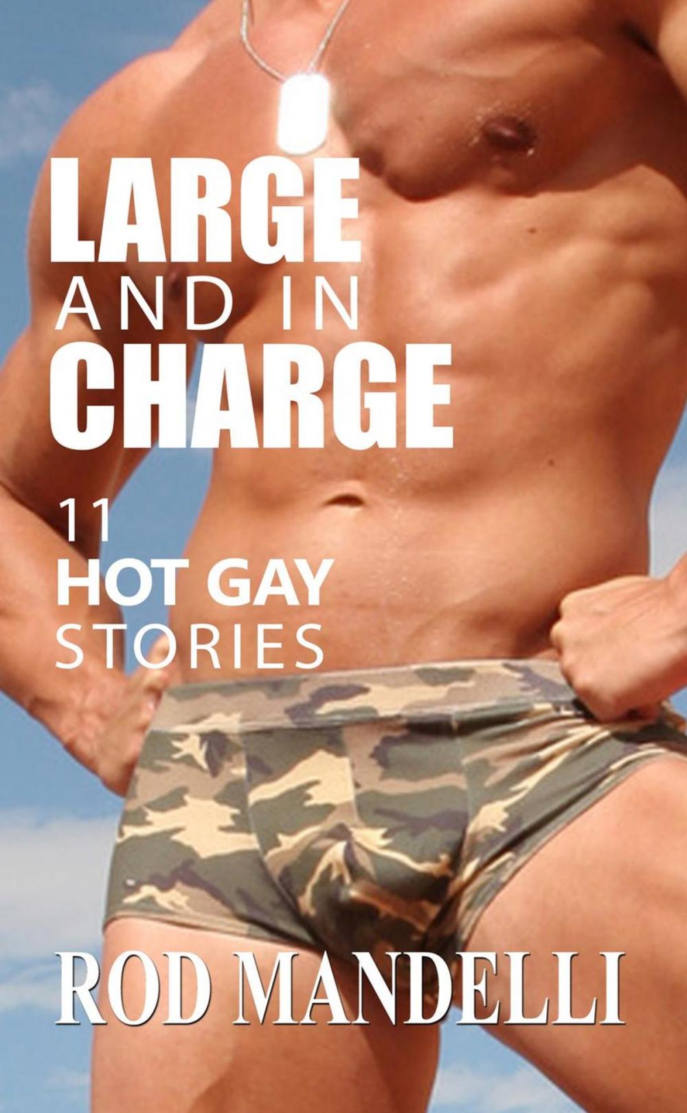 Big bigCover of Large and in Charge! 11 Hot Gay Stories