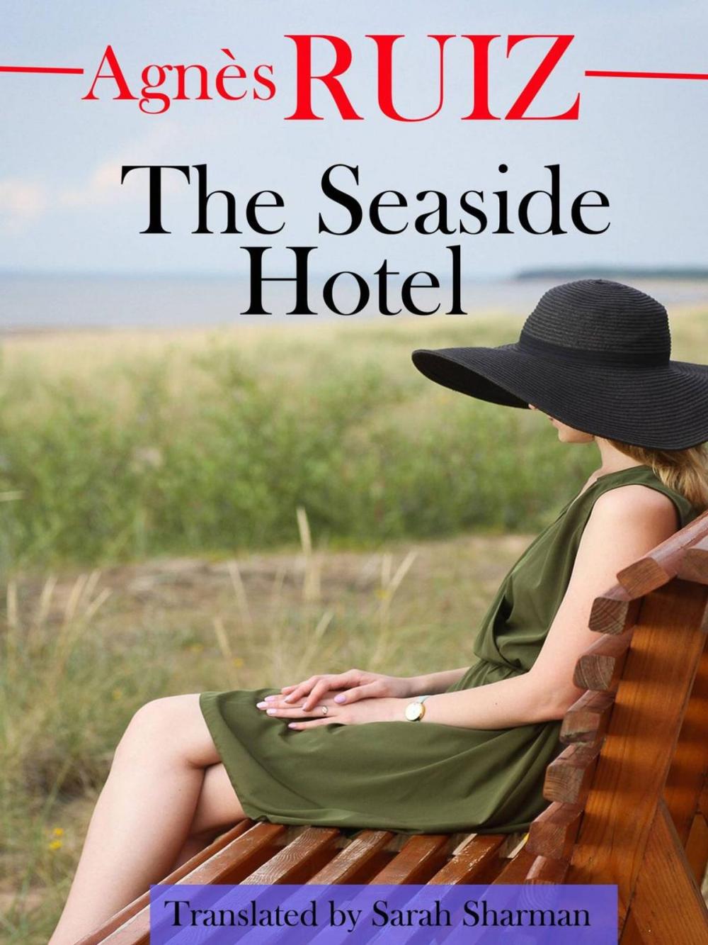 Big bigCover of The Seaside Hotel