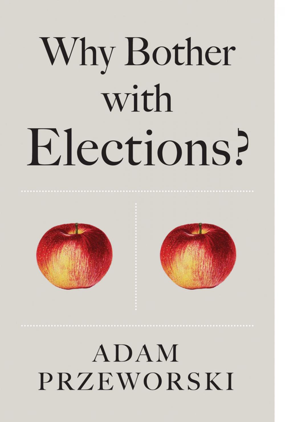Big bigCover of Why Bother With Elections?