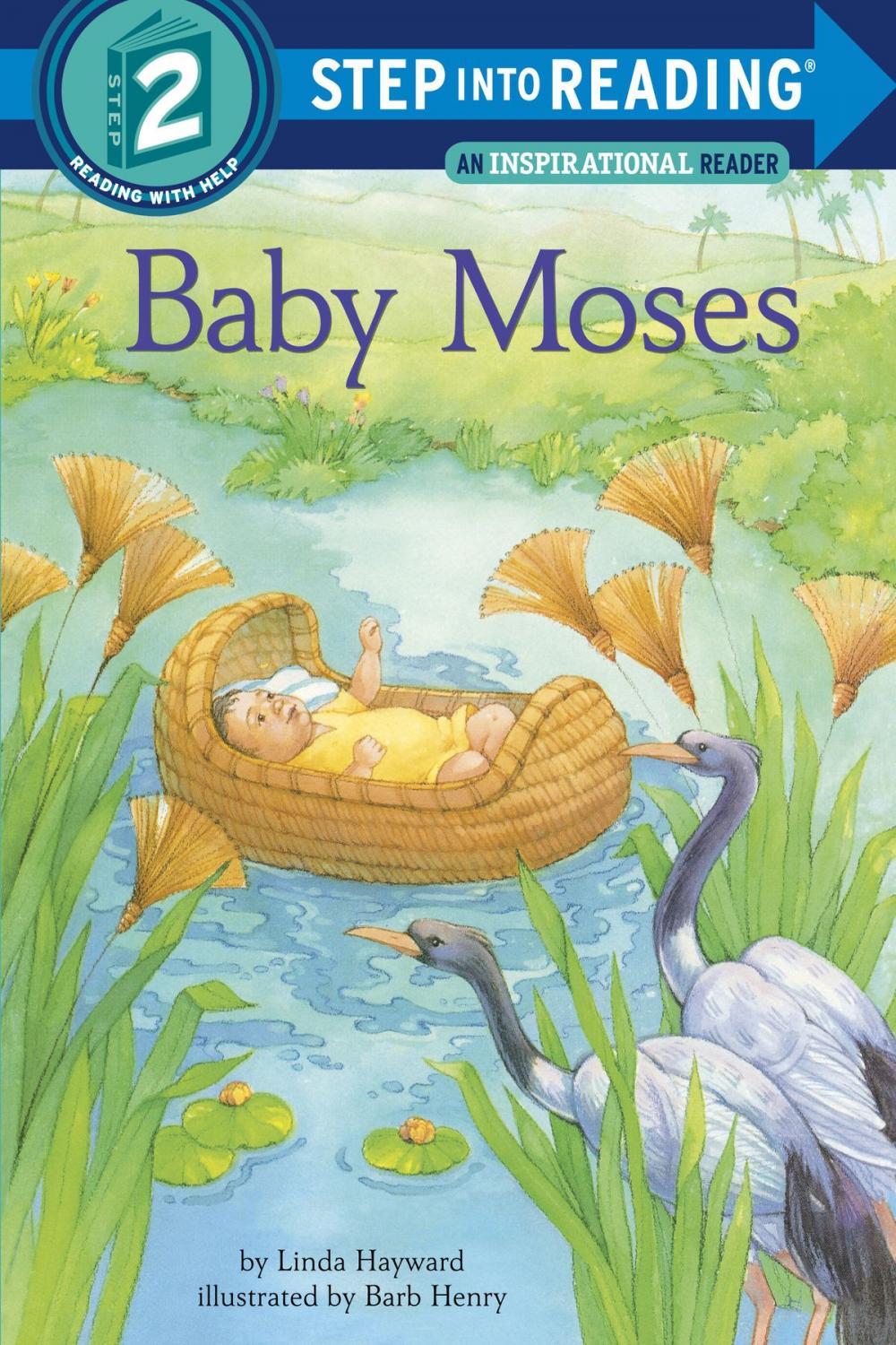 Big bigCover of Baby Moses