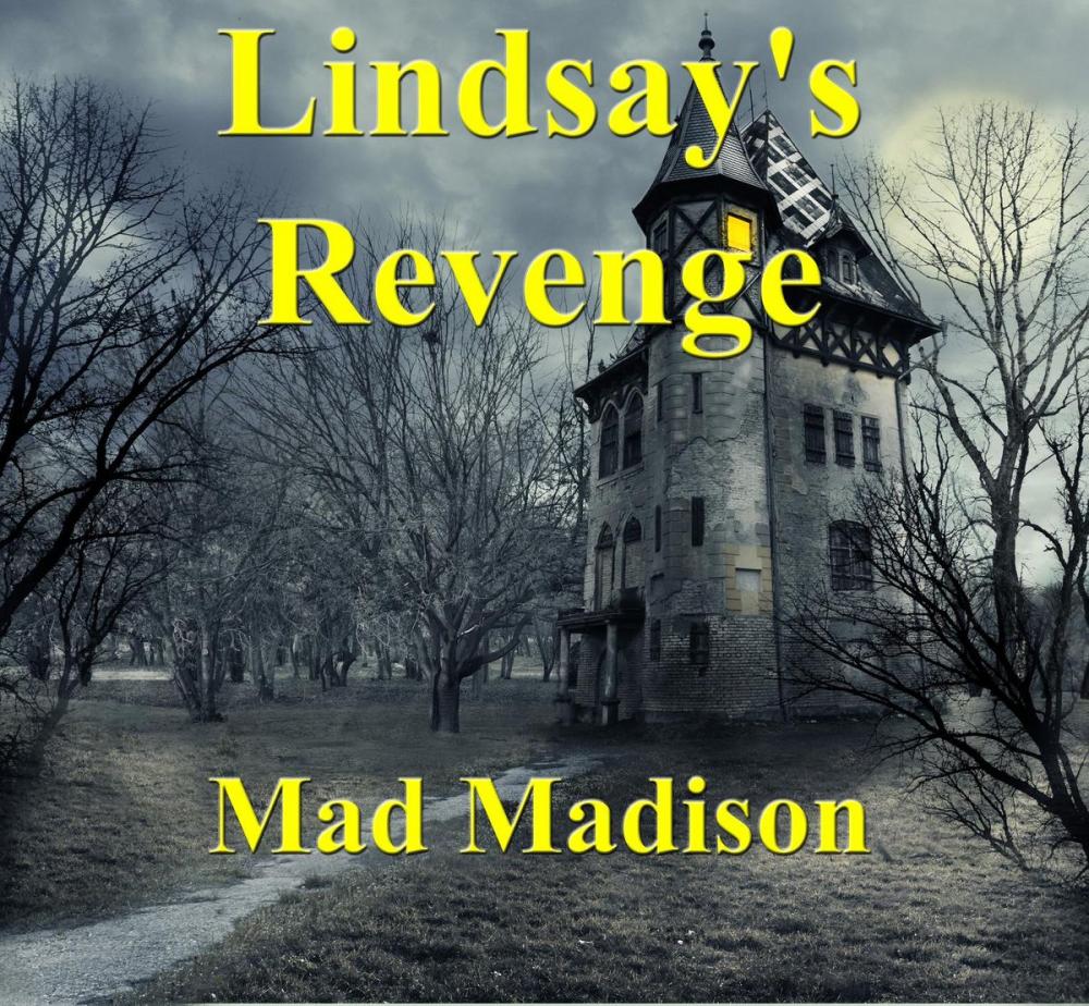 Big bigCover of Lindsay's Revenge